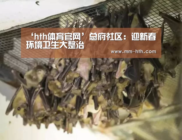 ‘hth体育官网’总府社区：迎新春环境卫生大整治